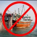 صید میگوی سفید در صیدگاه های خوزستان ممنوع شد