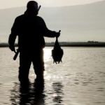 اعلام ممنوعیت صید در این فصل بی‌معناست 