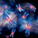 شناسایی و ثبت بارکد DNA آبزیان در کشور