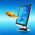 جذب سرمایه گذاری داخلی و خارجی برای فعال سازی ظرفیت‌های شیلاتی کشور /گ