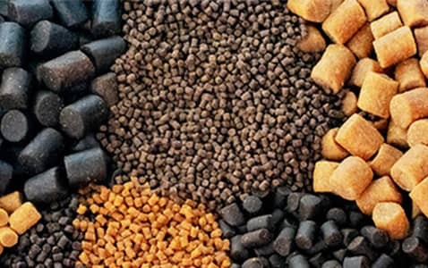 موفقیت متخصصان ایرانی در مسیر تولید خوارک دام، طیور و آبزیان