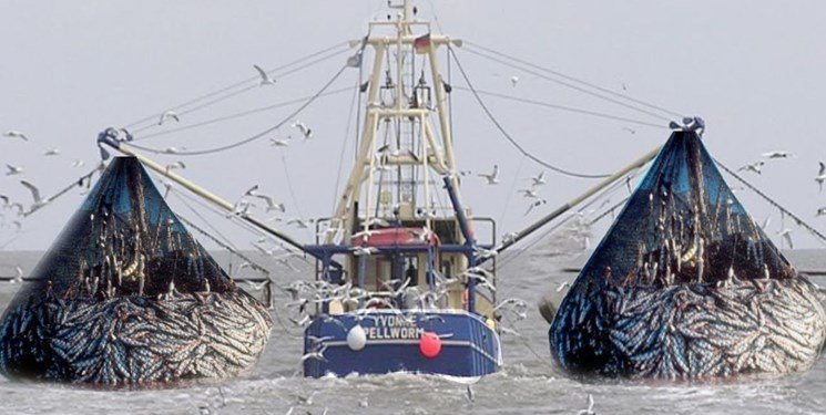 تولید ۸۰ درصد تورهای ماهیگیری در سیستان و بلوچستان