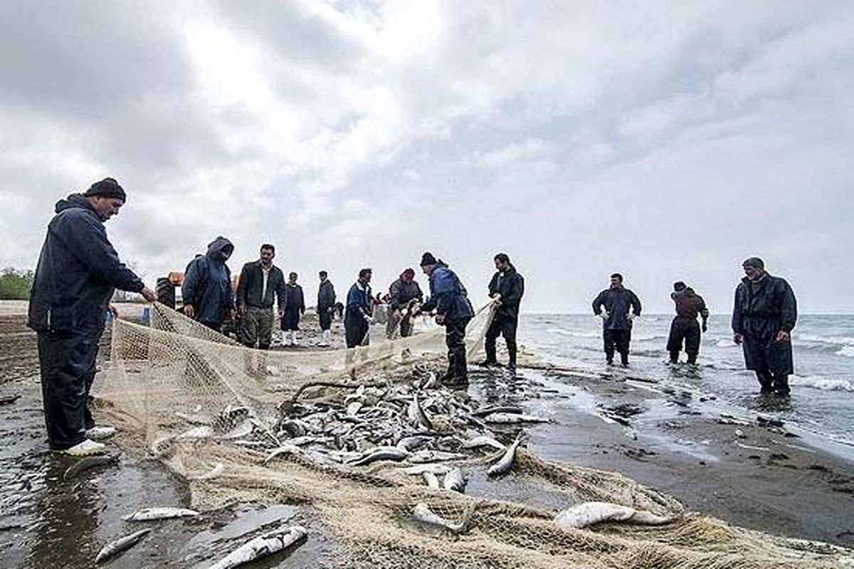 ساحل‌نشینان گلستان از صید ماهیان خزر در نیمه اول سال بپرهیزند