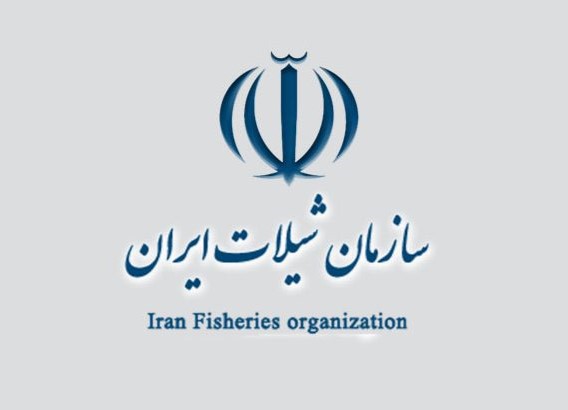 افزایش دو برابری سطح تولید بچه ماهی در مرکز سیاهکل