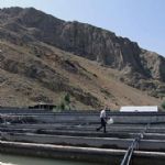 افزایش تعداد مزارع پرورش ماهی در اردبیل 