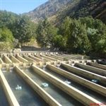 طرح‌های آبزی‌پروری در مرکز مازندران حمایت می‌شود 