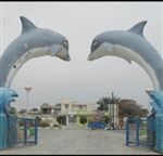 صیدسخت زندگی درساحل دیر / گ