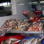 کاهش شدید تقاضای خرید در بازار آبزیان خوزستان 
