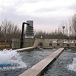 تولید ماهی در دل کویر، فرصتی جدید در اقتصاد کشاورزی /گ