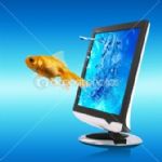 توسعه همکاری های ایران و بلاروس در بخش های دام، طیور و آبزیان و تجارت کشاورزی