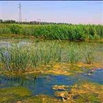 وسعت گنجینه اکوتوریسم نگارستان ایران  /گ