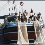 ۷۴۰ قایق صیادی استان بوشهر برای صید میگوی راهی دریا می‌شوند