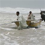 سهم اشتغال استان سیستان و بلوچستان در زمینه‌ شیلات بسیار کم است