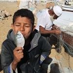 اشتغال 130 میلیون کودک در کشاورزی و شیلات