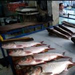 بزرگ‌ترین بازار ماهی‌فروشان خاورمیانه نیازمند حمایت دستگاهای دولتی 