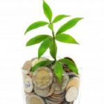 جذب ۱۰ درصدی اعتبارات صندوق توسعه ملی توسط بخش آبزی‌پروری