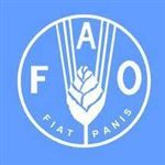 ارزیابی فوری فائو از نیازهای فنی سازمان شیلات ایران