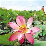 زیباترین بندر حاشیه خزر