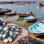 سفره صیادان هندیجانی کوچک‌تر می‌شود /گ