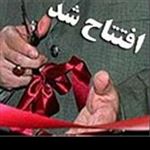 یک مزرعه پرورش ماهی سردآبی در بروجرد بهره برداری شد