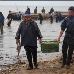 صید ۳۷۸ تن ماهیان استخوانی در بندرکیاشهر