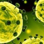 خسارت ۳۰ میلیارد ریالی کرونا به تولیدکنندگان ماهی در کهگیلویه و بویراحمد