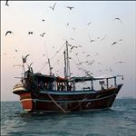 راه برون رفت جامعه صيادي از مشکلات پيش رو /گ