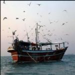 ماهیان دریای جنوب آب شدند /گ