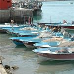 لزوم تقویت حضور بخش خصوصی در صنایع دریایی 