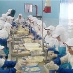 توسعه صنایع جانبی شیلات لازمه ارتقای تولید در خراسان‌رضوی است‌ 