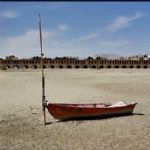 آب مهم‌تر است یا یوز؟ /گ