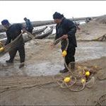 کاهش صيد ماهيان استخواني در سواحل مازندران 