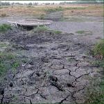 طنین زندگی در تالاب‌ها خاموش می‌شود /گ