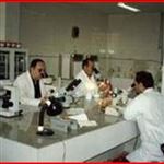 پنج طرح پژوهشی در زمینه دامپزشکی و شیلات حمایت مالی می‌شوند