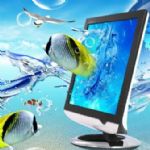 تهدیدات زیستی شیلات با امنیت غذایی انسان مستقیما در ارتباط است /گ