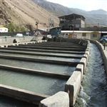 غفلت از ظرفیتهای آبزی پروری در ایلام /گ