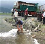 شکوه بازگشت آزاد ماهیان پهنه آبی خزر