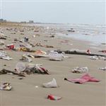 آلودگی متهم اصلی مرگ آبزیان 