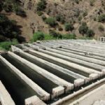 چشم‌انداز روشن پیش روی شیلات کردستان /گ