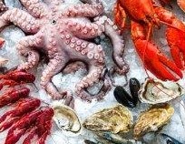 بررسی موارد و مشکلات نظارت شرعی در حوزه آبزیان در نشست با رییس کل دادگستری