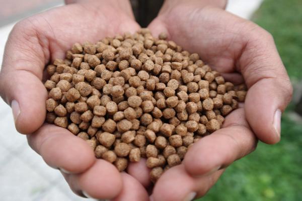 بازدید رئیس دادگستری و دادستان کامیاران از واحد تولیدی خوراک تخصصی آبزیان سیروان این شهرستان