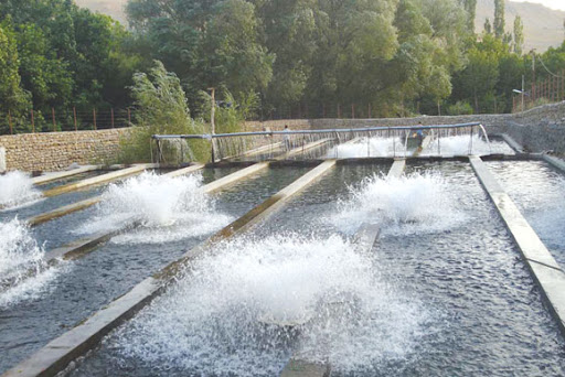 دستاوردهای دولت سیزدهم در حوزه جهاد کشاورزی شاهرود