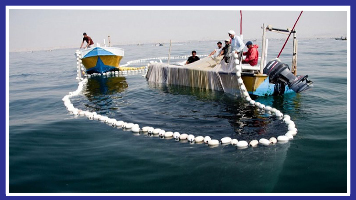 ارتقا و تسریع خدمات رسانی به جامعه صیادی از اولویت های مهم شیلات هرمزگان